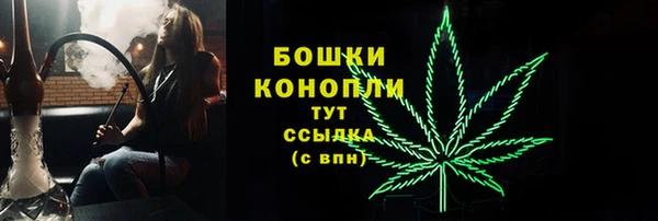 PSILOCYBIN Беломорск