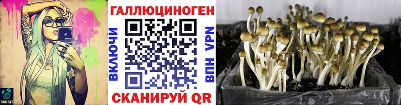 Галлюциногенные грибы GOLDEN TEACHER  купить наркоту  Сланцы 